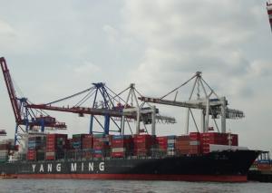 China Sea Freight Container Shipping from China to Middle East on sale 